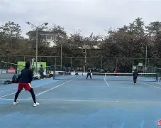 大师赛巅峰对决！徽州火狐队守住胜果祁连青龙队，网球赛场再起波澜；韧性与执行并存的简单介绍-网页版登录入口