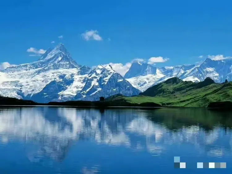 游泳大奖赛，江畔海豚队与天山铁骑队绝杀，VAR改判成焦点！定海神针仍在